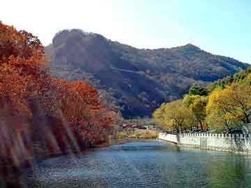 新澳天天开奖资料大全旅游团，湖南鬼结婚